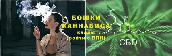 СК Гусев