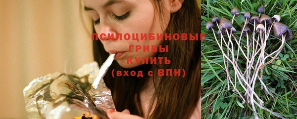 СК Гусев