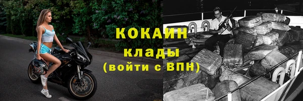 СК Гусев