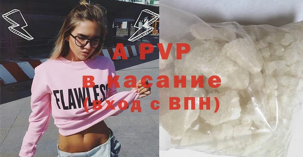СК Гусев